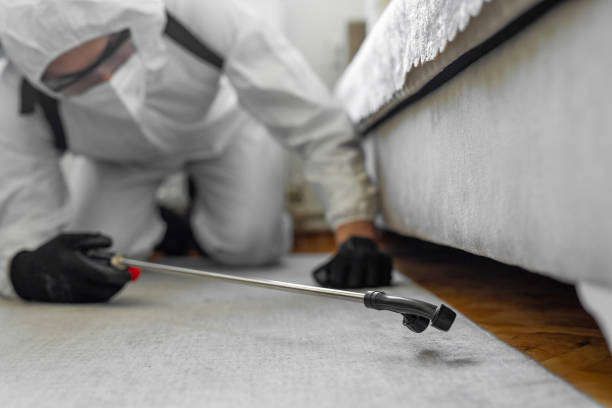 Professional Cockroach Control technician working in Wayne County County, MS